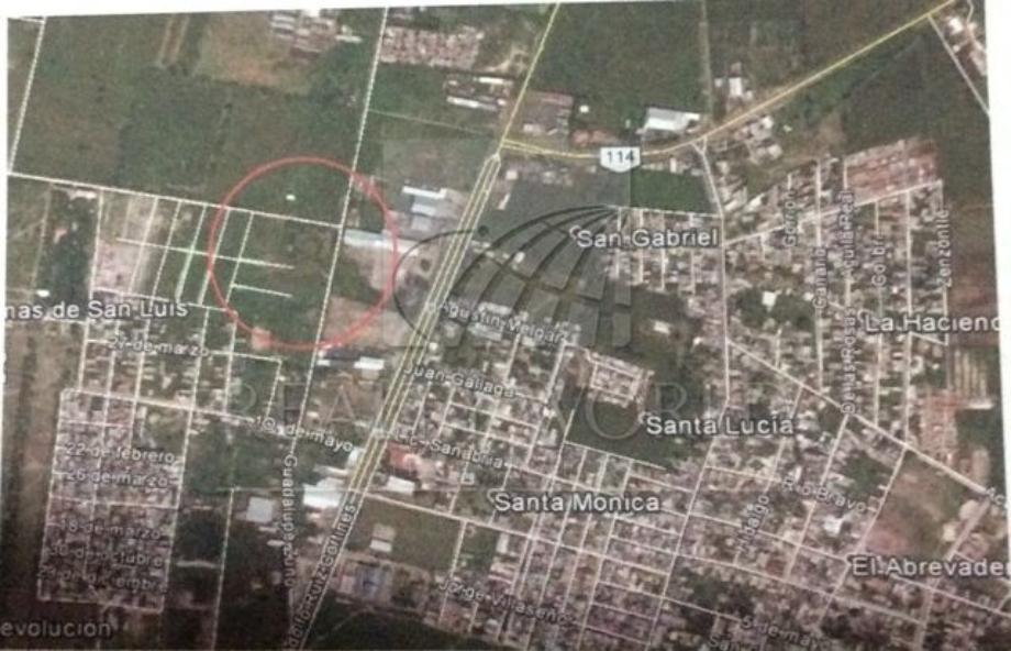 Imagen de terreno en renta en san antonio, la barca, jalisco