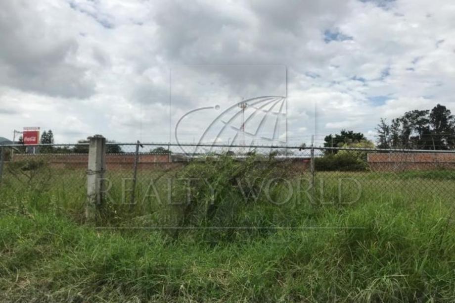 Imagen de terreno en renta en el raicero, ocotlán, jalisco