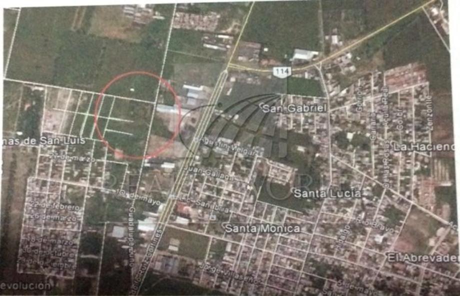 Imagen de terreno en renta en san antonio, la barca, jalisco