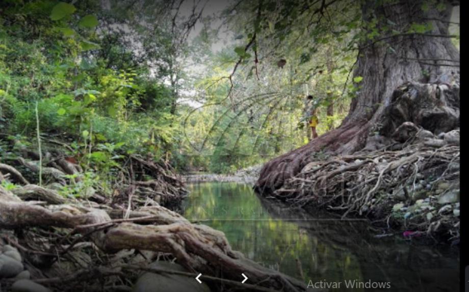 Imagen de terreno en venta en valle del río, montemorelos, nuevo león