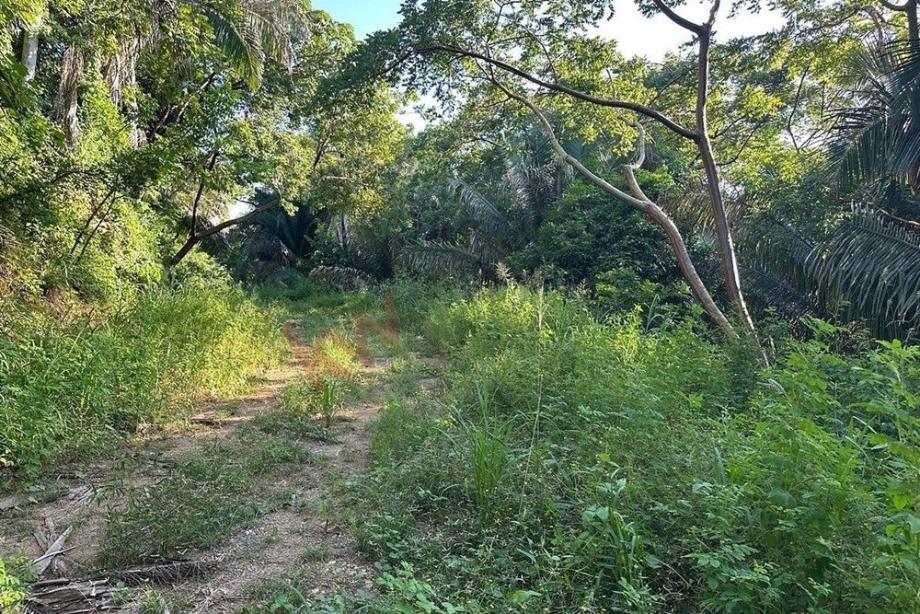 Imagen de terreno en venta en san francisco, bahía de banderas, nayarit