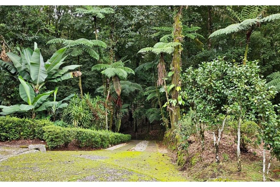 Imagen de terreno en venta en xicotepec de juárez, xicotepec, puebla