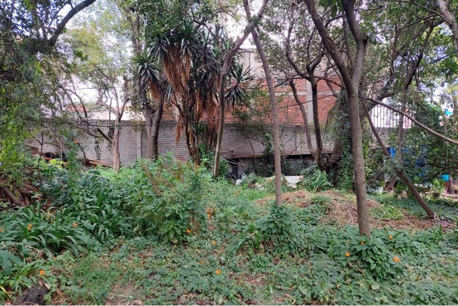 Imagen de terreno en renta en tlalpan centro, tlalpan, ciudad de méxico