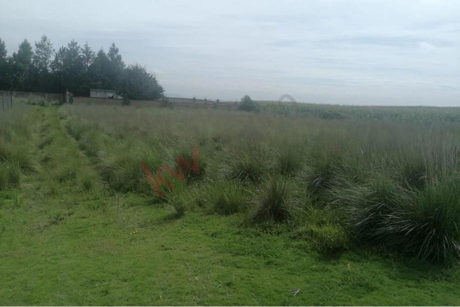 Imagen de terreno en venta en san juan de las huertas, zinacantepec, estado de méxico
