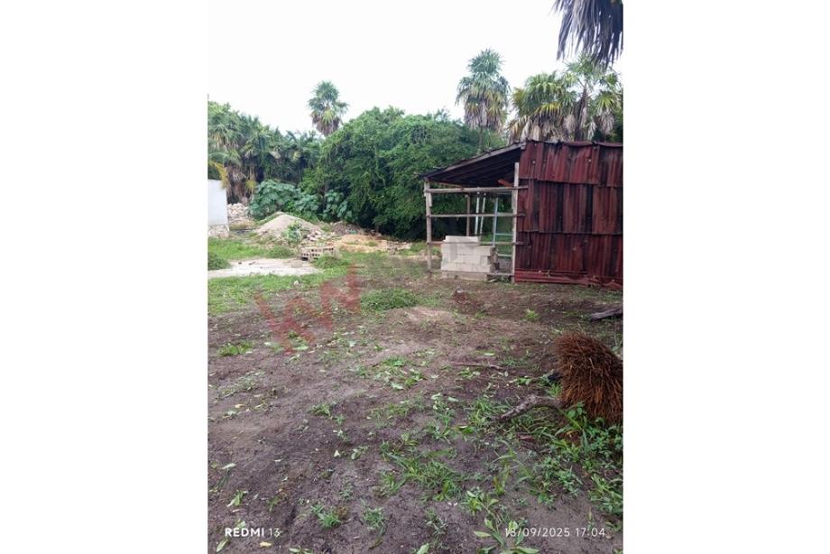 Imagen de terreno en venta en el cuyo, tizimin, yucatán