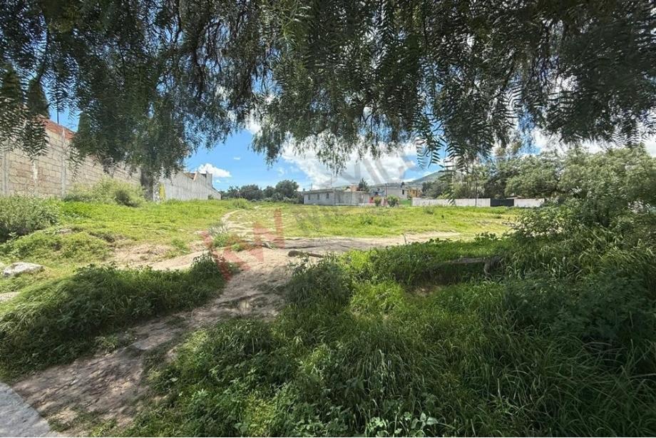 Imagen de terreno en venta en el calvario, tepeapulco, hidalgo