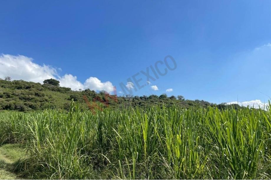 Imagen de local en venta en hacienda san isidro mazatepec, tala, jalisco