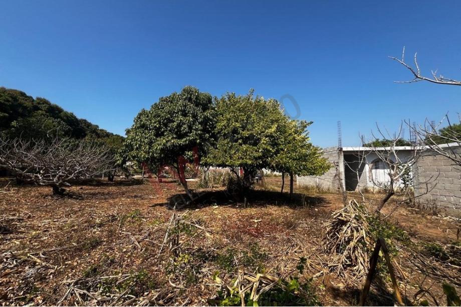 Imagen de terreno en venta en copoya, tuxtla gutiérrez, chiapas