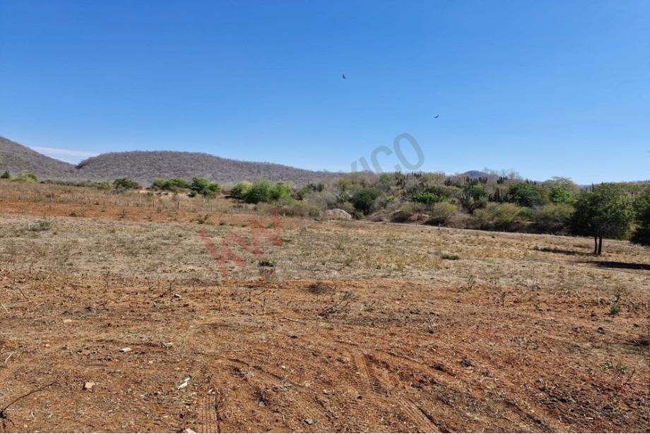 Imagen de terreno en venta en el habal, mazatlán, sinaloa