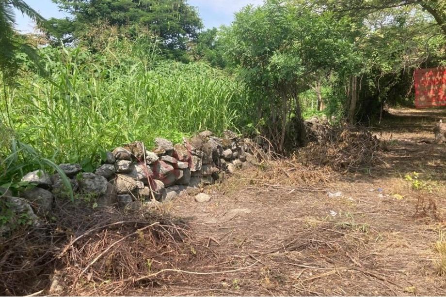 Imagen de terreno en venta en alpuyeca, xochitepec, morelos