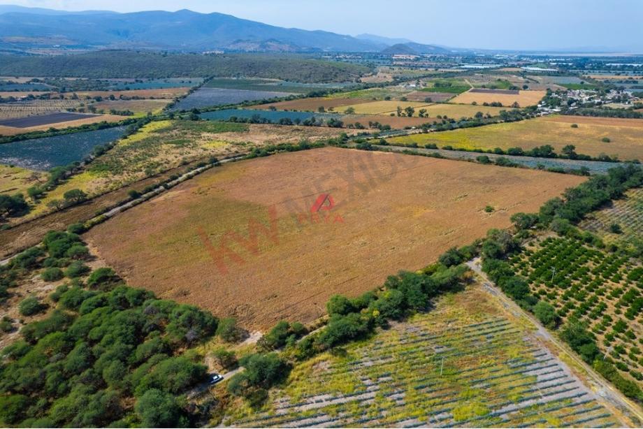 Imagen de terreno en renta en zacoalco de torres centro, zacoalco de torres, jalisco