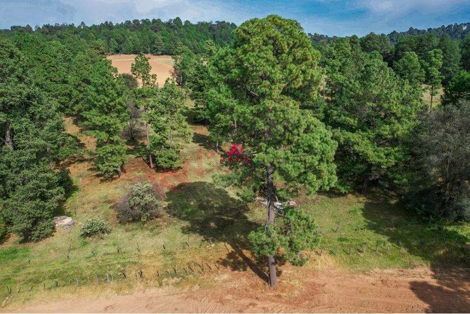 Imagen de terreno en venta en juanacatlan, tapalpa, jalisco