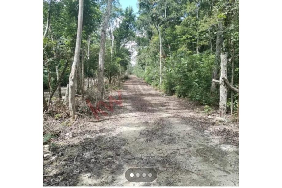 Imagen de terreno en venta en chun-yah, felipe carrillo puerto, quintana roo