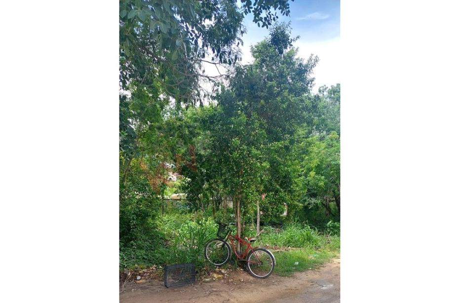 Imagen de terreno en venta en fraccionamiento la veleta, tulum, quintana roo