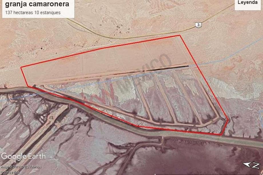 Imagen de terreno en venta en ejido golfo de santa clara, san luis río colorado, sonora