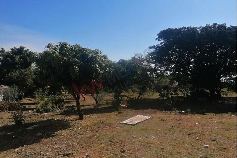 Imagen de terreno en venta en camino real los reyes, tlayacapan, morelos