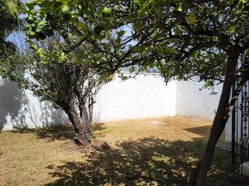 Casa en Renta en Jardines de la Concepción, Aguascalientes