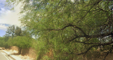 Terreno en Roque Estrada, San Pedro Piedra Gorda