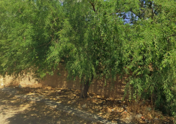 Terreno en Roque Estrada, San Pedro Piedra Gorda