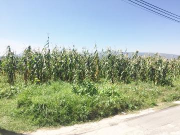 Terreno en venta, Temamatla, Estado de Mex