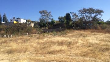 TERRENO EN SANTIAGO ETLA