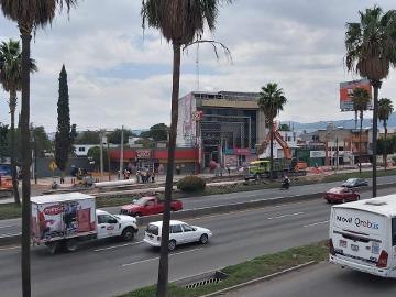 EDIFICIO COMERCIAL EN RENTA - (34)