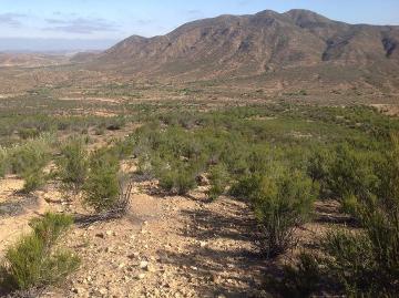 Rancho "La Poza" - (34)