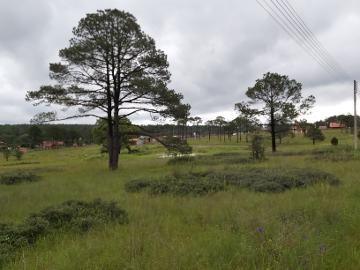 TERRENO EN VENTA PARAISO DE LA SIERRA - (34)