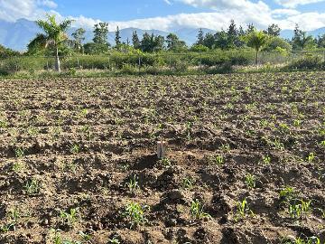 VENTA DE TERRENO - (34)