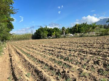 VENTA DE TERRENO - (34)