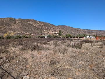 Terreno Comercial en RENTA Valle de Guadalupe Ensenada, Baja California - (34)