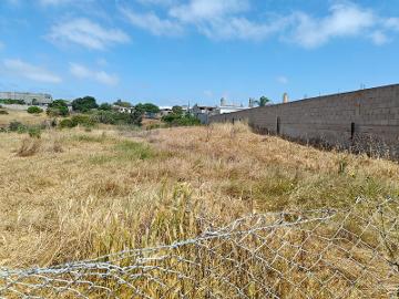 Terreno en Renta en Salvatierra, Tijuana - (34)