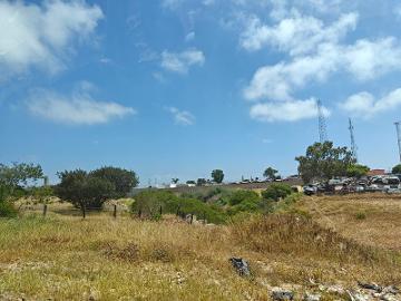 Terreno en Renta en Salvatierra, Tijuana - (34)