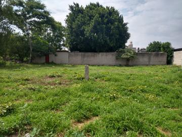TERRENO EN VENTA - (34)