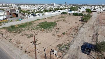 Calzada CETYS, entre Fraccionamientos Aurea y Duara, terreno en renta. - (34)