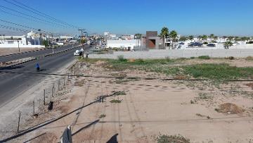 Calzada CETYS, entre Fraccionamientos Aurea y Duara, terreno en renta. - (34)