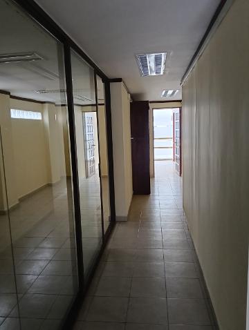 RENTA DE OFICINA EN COLONIA ANZURES ALCALDIA MIGUEL HIDALGO CDMX - (34)
