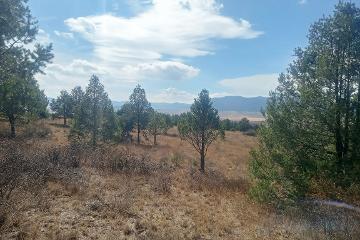 Terreno en Venta - 34
