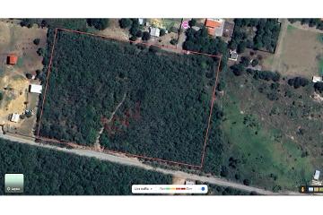 Terreno en Congregacion Calles, limites Allende - Montemorelos, ¡Invierte Ya!. Te ofrece la oportunidad de materializar cualquier proyecto