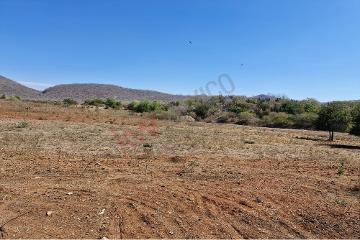 RANCHO DE 92 HECTÁREAS EN VENTA