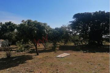 Lote de: 3,050 m² – Tu espacio en Los Reyes, Tlayacapan